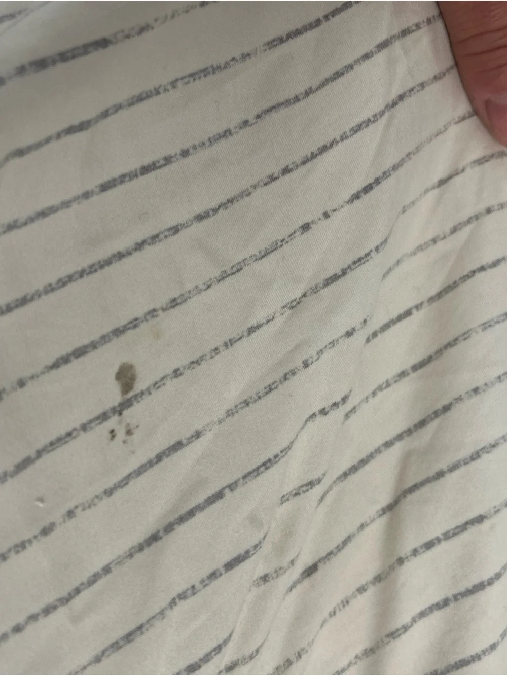 Beddy's Full Size *Bottom Only* Base Sheet White Modern